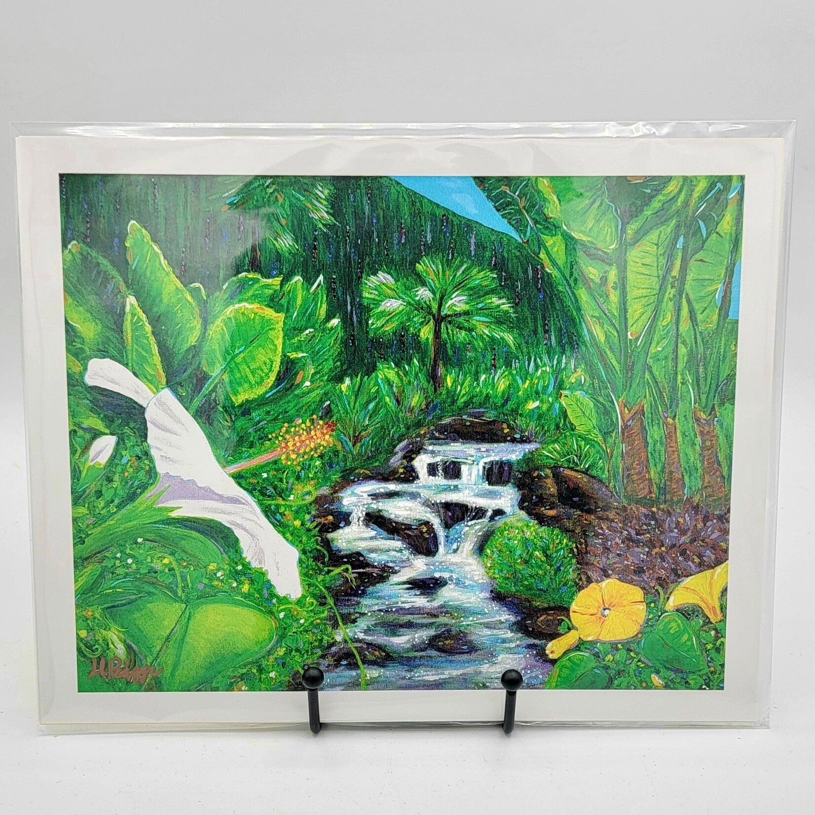 Piazza Art White Hibiscus @Piazza.Art Signed Print 8 1/2” x 10 1/2”