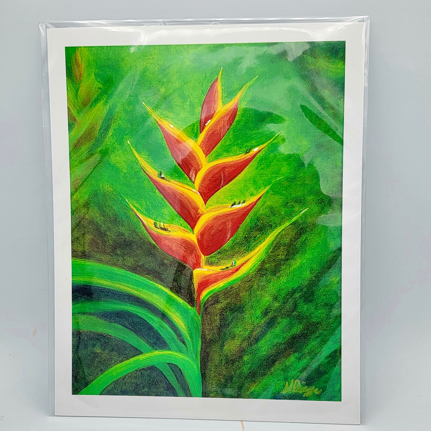 Piazza Art Red Heliconia @Piazza.Art Signed Print 8 1/4” x 10 1/2” Med