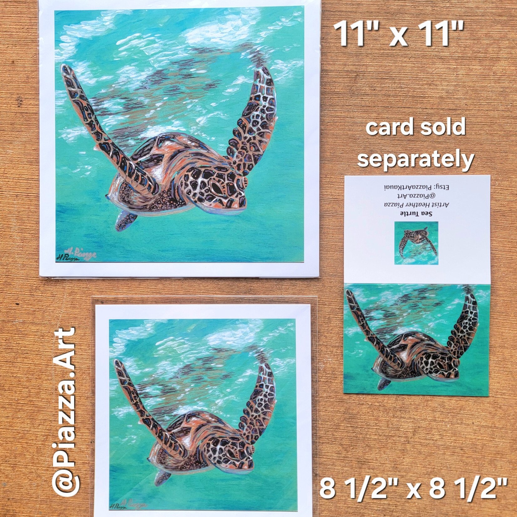 Piazza Art Sea Turtle @Piazza.Art