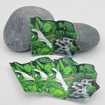 Piazza Art White Hibiscus @Piazza.Art Vinyl Sticker 3”