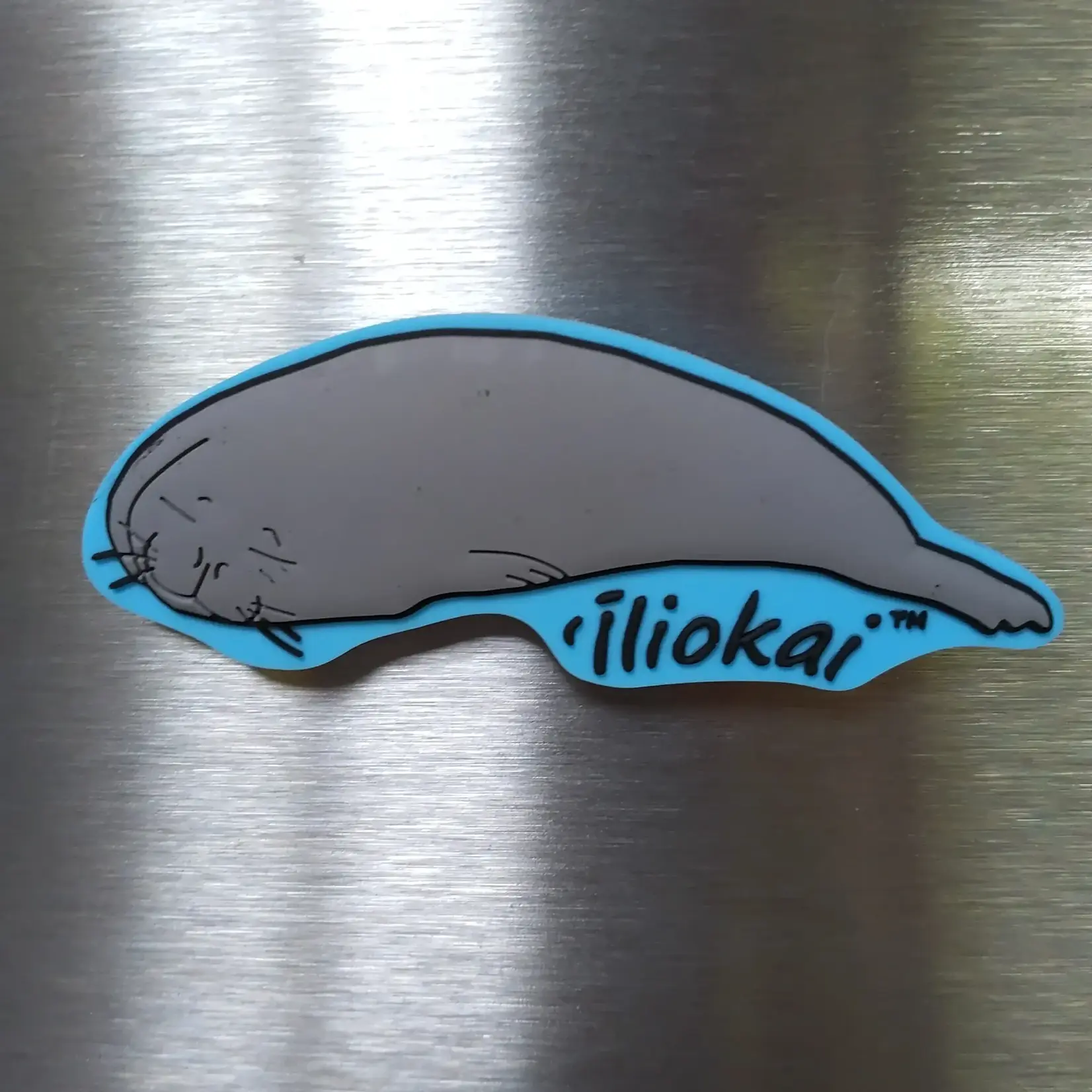 Iliokai Kauai ‘Iliokai Magnet