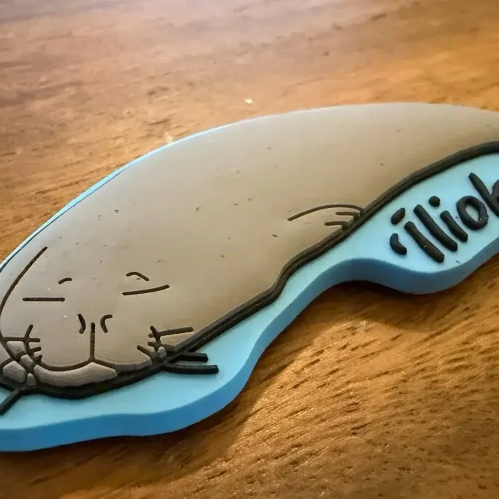 Iliokai Kauai ‘Iliokai Magnet