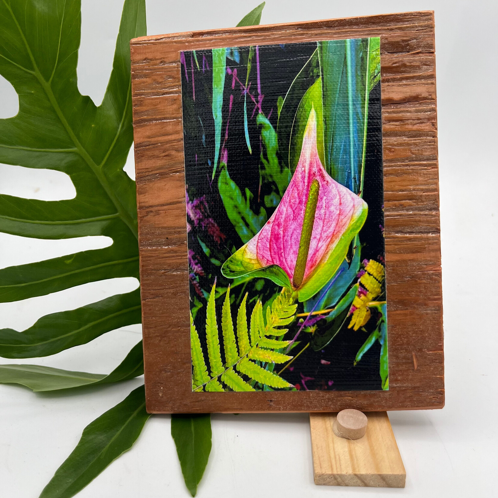 Iliokai Kauai Photo on Reclaimed Wood - Astral Anthurium