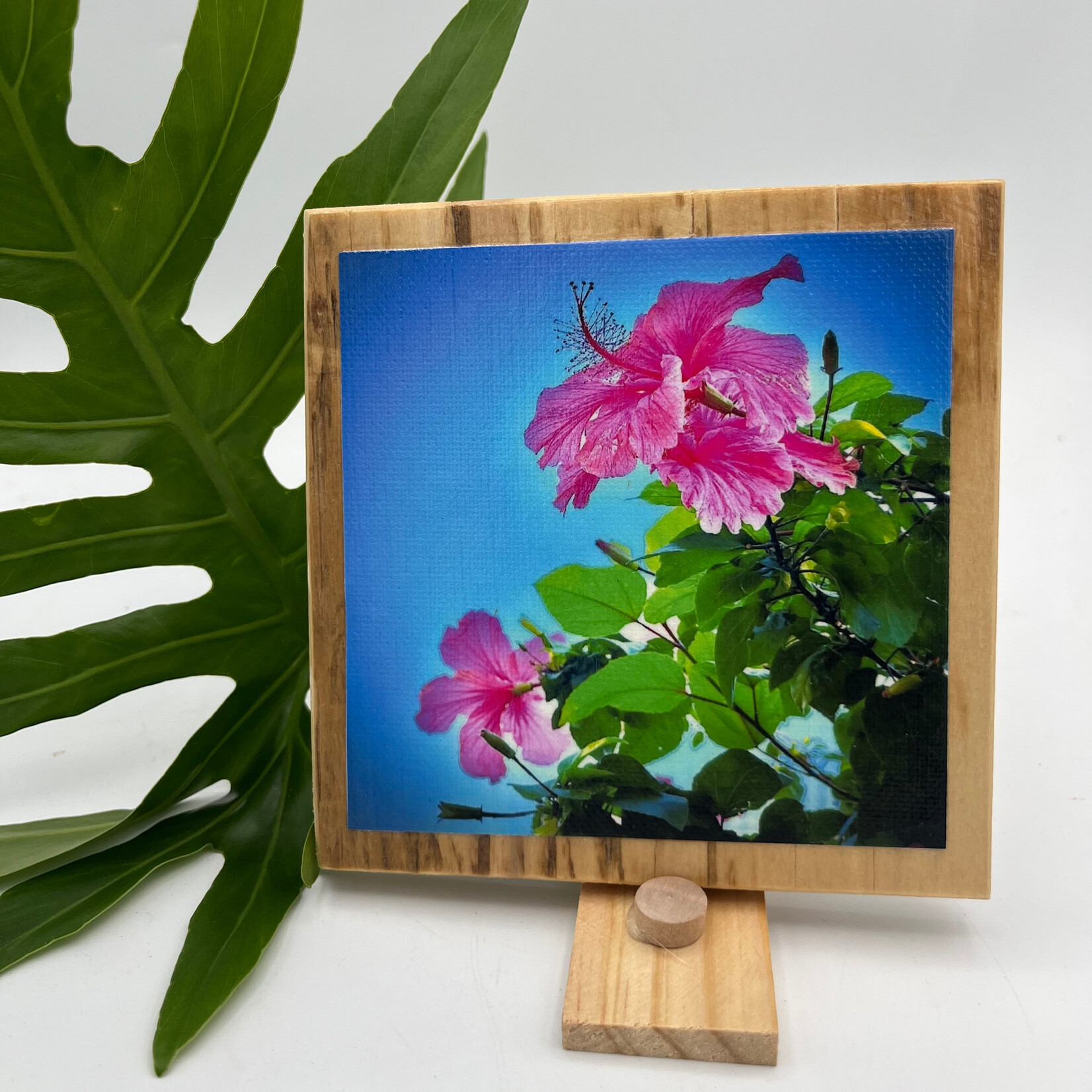 Iliokai Kauai Photo on Reclaimed Wood - Pink Hibiscus in the Sky