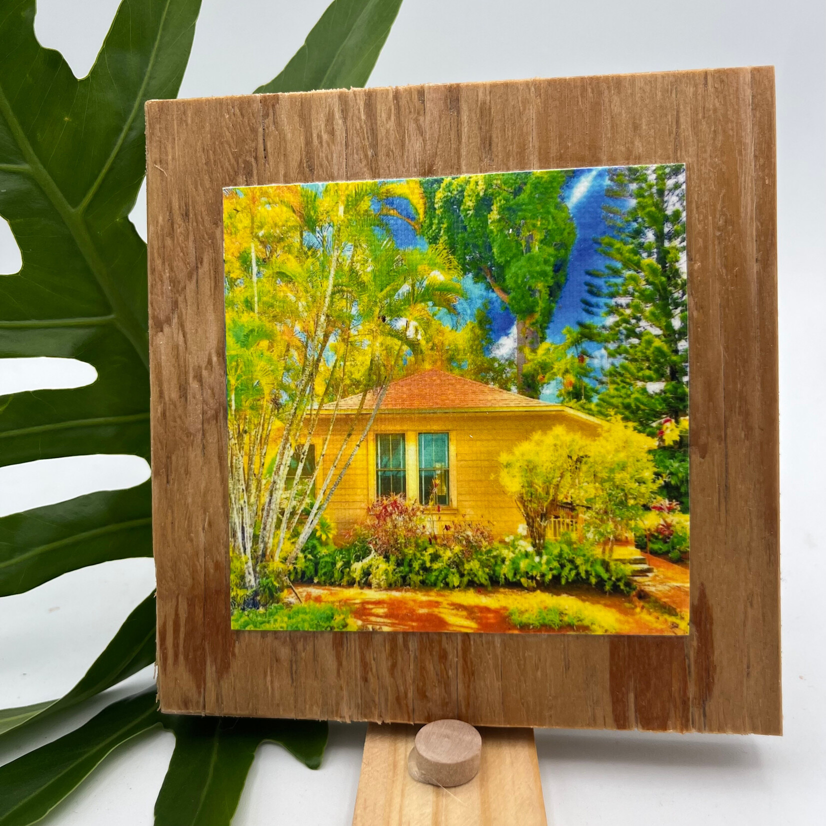 Iliokai Kauai Photo on Reclaimed Wood - Hawaiian Country Cottage