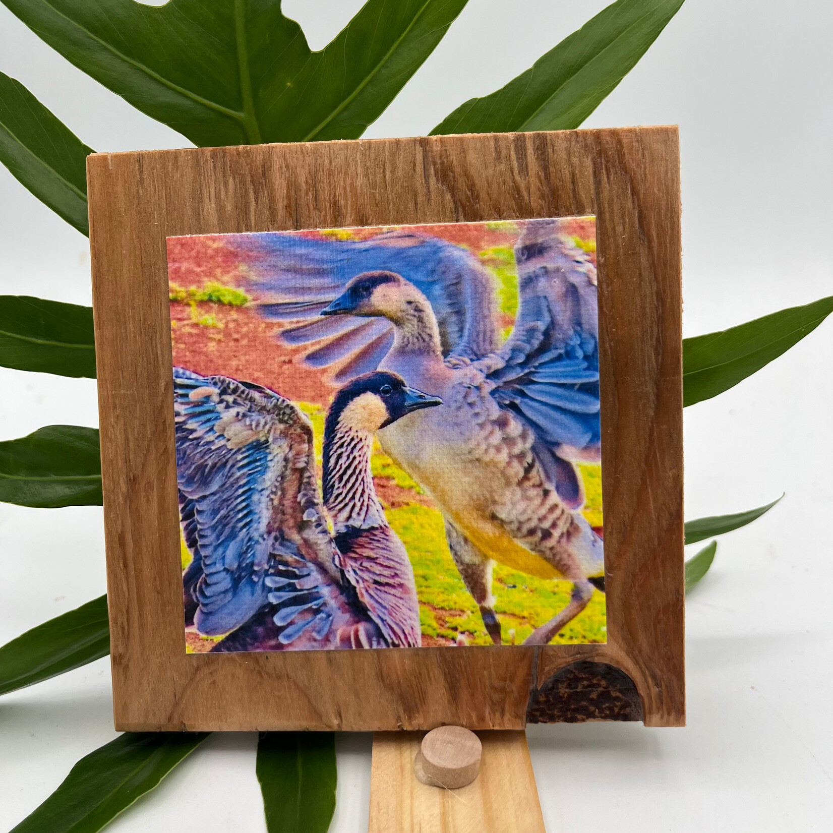 Iliokai Kauai Photo on Reclaimed Wood - Nene Play