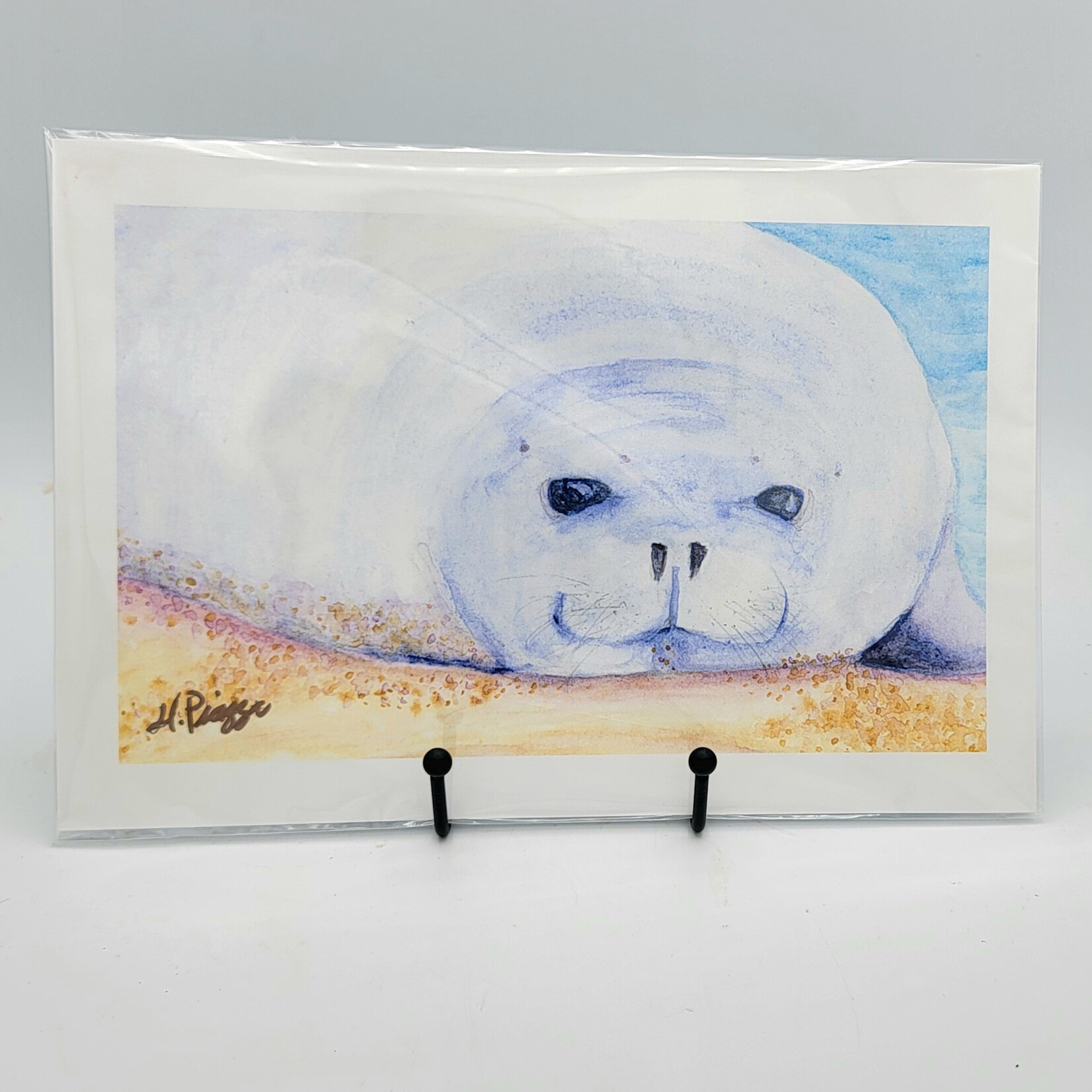 Piazza Art Monk Seal @Piazza.Art Signed Print 7.5” x 11”