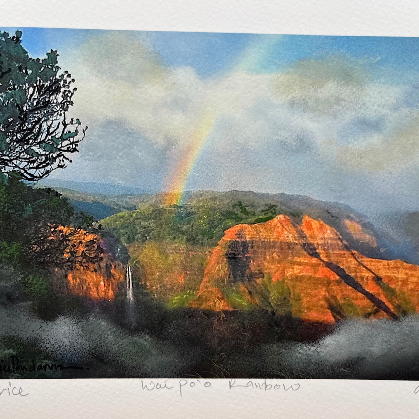 Patrice Pendarvis Studio Waipo'o Rainbow