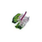 The HK Experience Green Anthurium Sticker