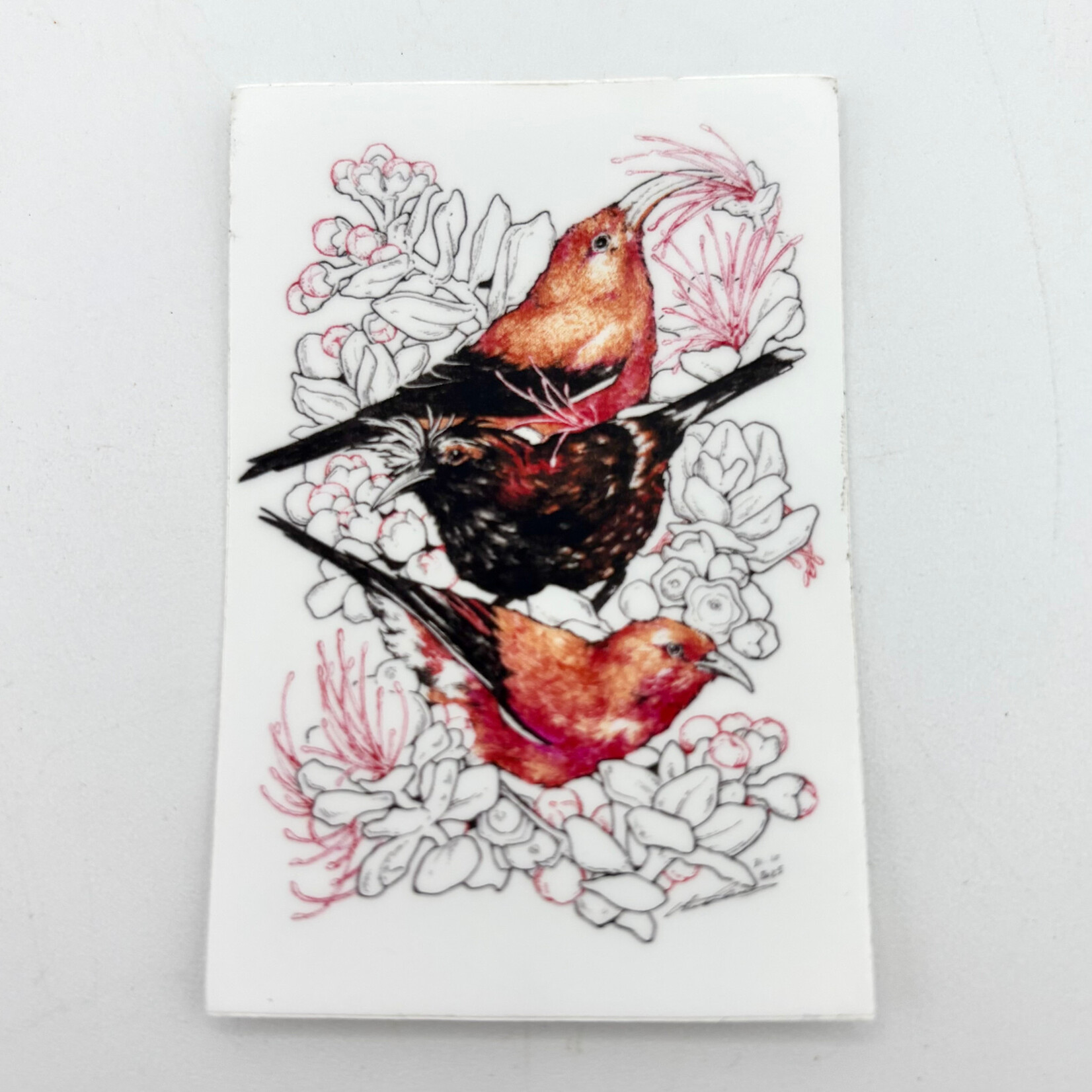 Kaua'i Forest Bird Recovery Project Kauai Forest Bird Recovery Project Sticker - 3 birds