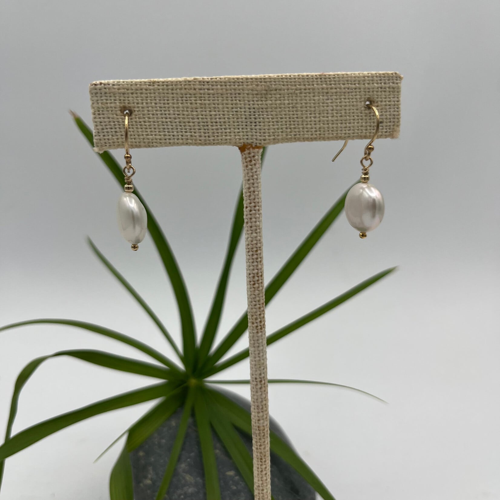 GKS - Grace K Studio FW Coin Pearl GF Earrings