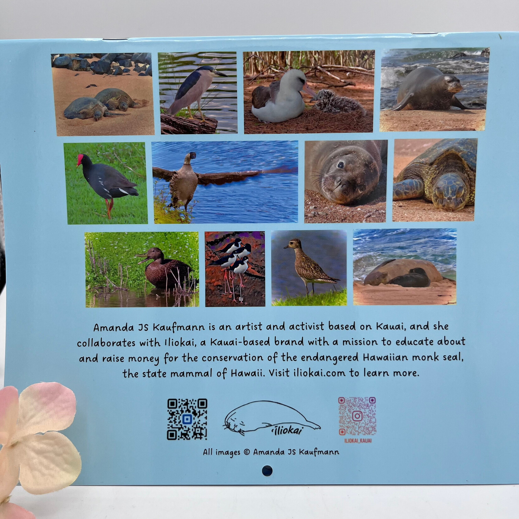 Iliokai Kauai 2027 Hawaii Wildlife Calendar by Amanda