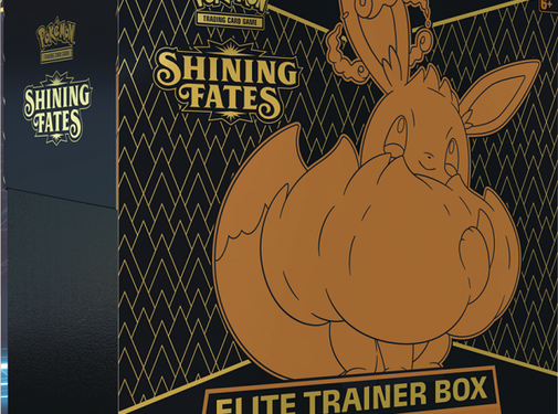 NINTENDO POKEMON SHINING FATES ELITE TRAINER BOX