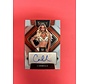 2022 PANINI SELECT WWE CARMELLA AUTOGRAPHS