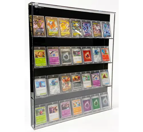 PATHER PATHER LARGE TRADING CARD CABINET WITH BLACK BACK