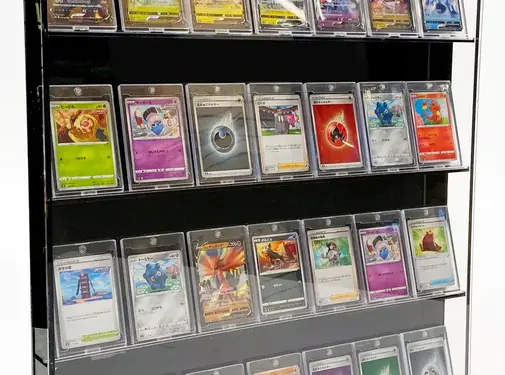 PATHER PATHER LARGE TRADING CARD CABINET WITH BLACK BACK