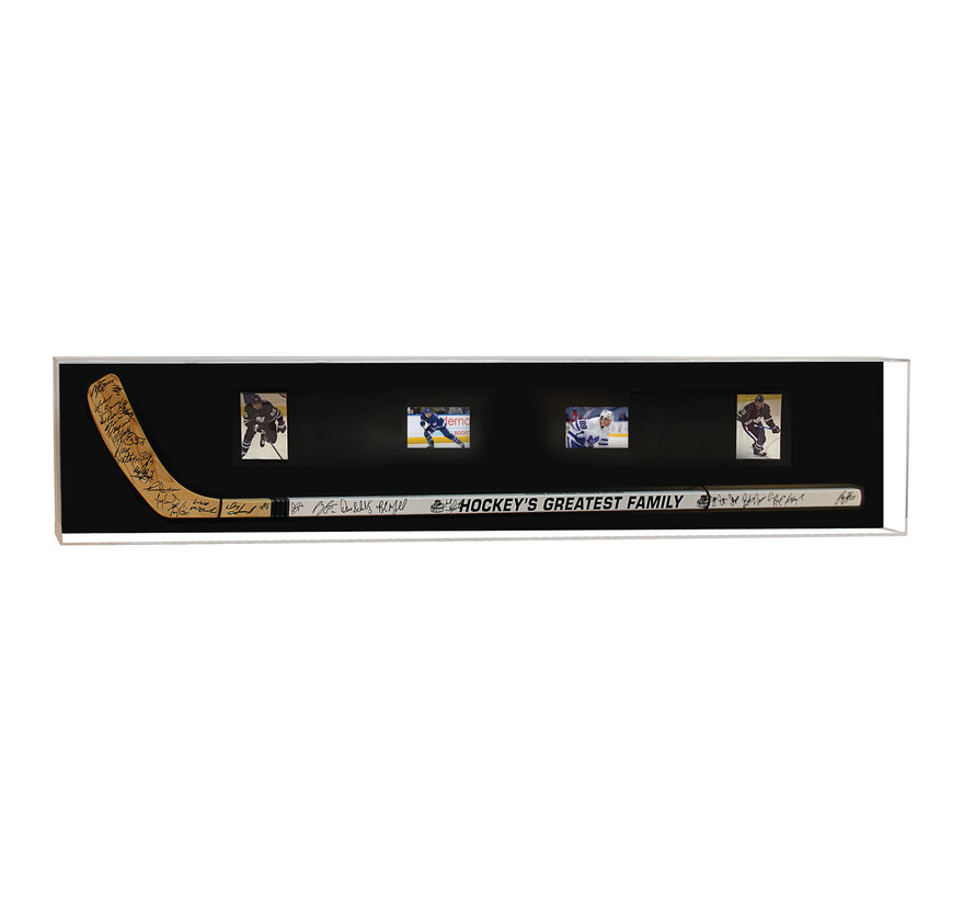 PATHER STANDARD HOCKEY STICK DISPLAY (85101)