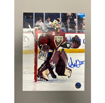 Ann-Renee Desbiens Montreal Victoire PWHL Signed 8x10 Photograph Intense