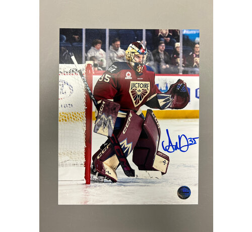 PREMIUM AUTOGRAPHS Ann-Renee Desbiens Montreal Victoire PWHL Signed 8x10 Photograph Intense