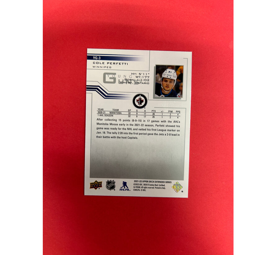 2021-22 UPPER DECK EXTENDED SERIES COLE PERFETTI EASTER EGG RETRO YOUNG GUNS