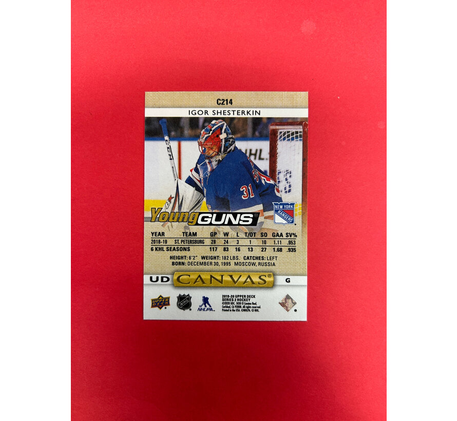 2019-20 UPPER DECK SERIES 2 IGOR SHESTERKIN YOUNG GUNS CANVAS