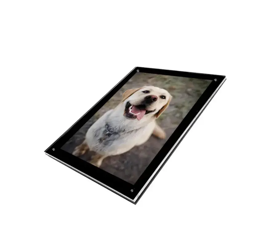 PATHERS WALL MOUNT FRAME 8X10