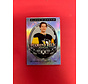 2024-25 UPPER DECK BLACK DIAMOND RUTGER MCGROARTY DIAMOND RELIC ROOKIES DOUBLE DIAMOND /99