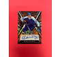 2024 LEAF EXOTIC BORJE SALMING TIGER STRIPE AUTOGRAPH /10