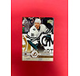 2019-20 UPPER DECK UPDATE STEVEN STAMKOS ALL STAR HIGH GLOSS /10