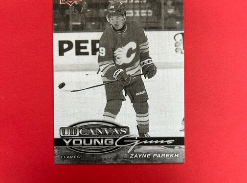 UPPER DECK 2025-26 UPPER DECK SERIES 1 ZAYNE PAREKH YOUNG GUNS BLACK AND WHITE CANVAS