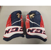ALEX OVECHKIN 2020 BUBBLE YEAR PHOTOMATCHED PRACTICE WORN GLOVES