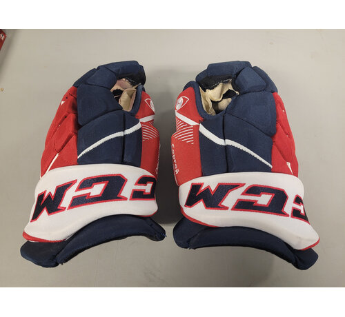 ALEX OVECHKIN 2020 BUBBLE YEAR PHOTOMATCHED PRACTICE WORN GLOVES