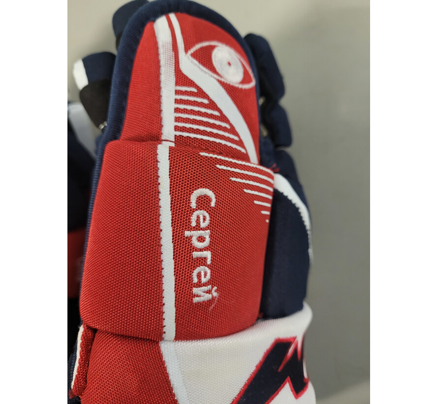 ALEX OVECHKIN 2020 BUBBLE YEAR PHOTOMATCHED PRACTICE WORN GLOVES