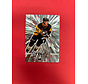2025-26 UPPER DECK SERIES 2 HARRISON BRUNICKE OUTBURST YOUNG GUNS