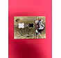2001 UPPER DECK SPX RAY BOURQUE HOCKEYS TREASURES JERSEY PUCK AUTO /50