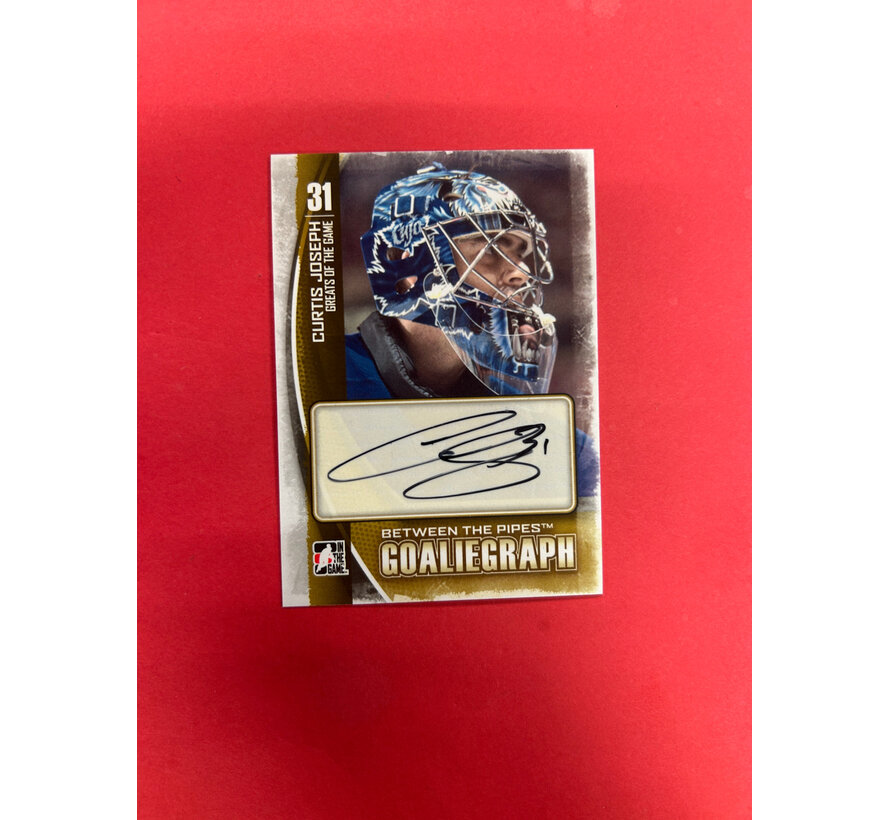 2014 IN THE GAME CURTIS JOSEPH GOALIEGRAPH