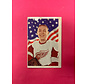 1963-64 PARKHURST TERRY SAWCHUK #53