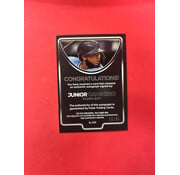 2024 PULSE LUMIN JUNIOR CAMINERO AUTOGRAPH /99
