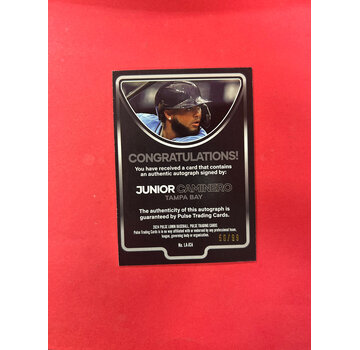 2024 PULSE LUMIN JUNIOR CAMINERO AUTOGRAPH /99