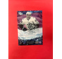 2022-23 UPPER DECK ICE SHANE WRIGHT ICE PREMIERES AUTO /25