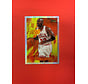 1996 TOPPS MICHAEL JORDAN EN FUEGO SP