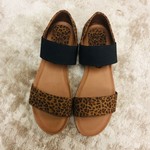 Leopard Motto Shoe