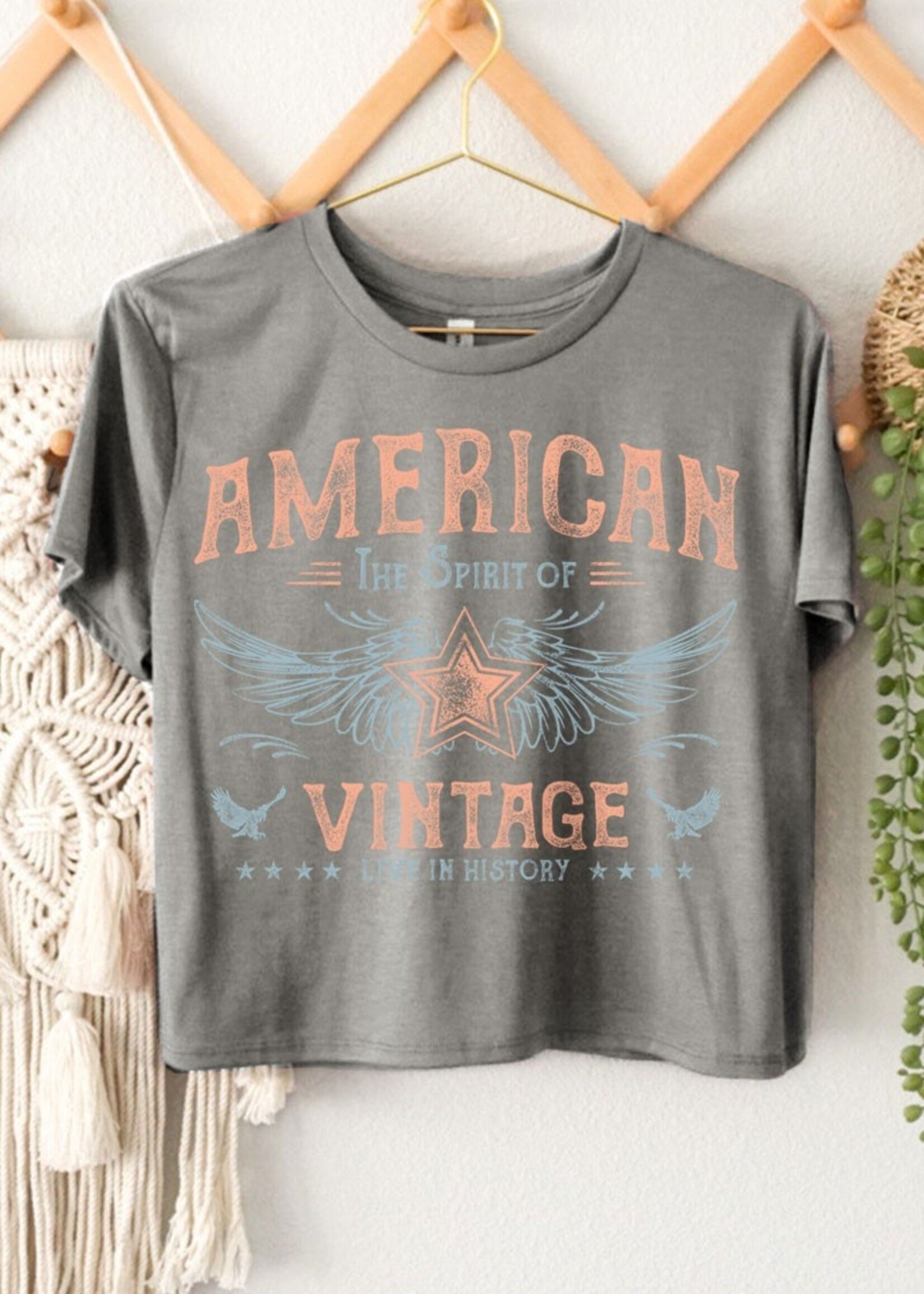 American Vintage Graphic Tee - Grey