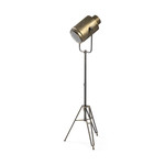 Mickler & Co. Dee Gold Metal Adjustable Cinema Floor Lamp