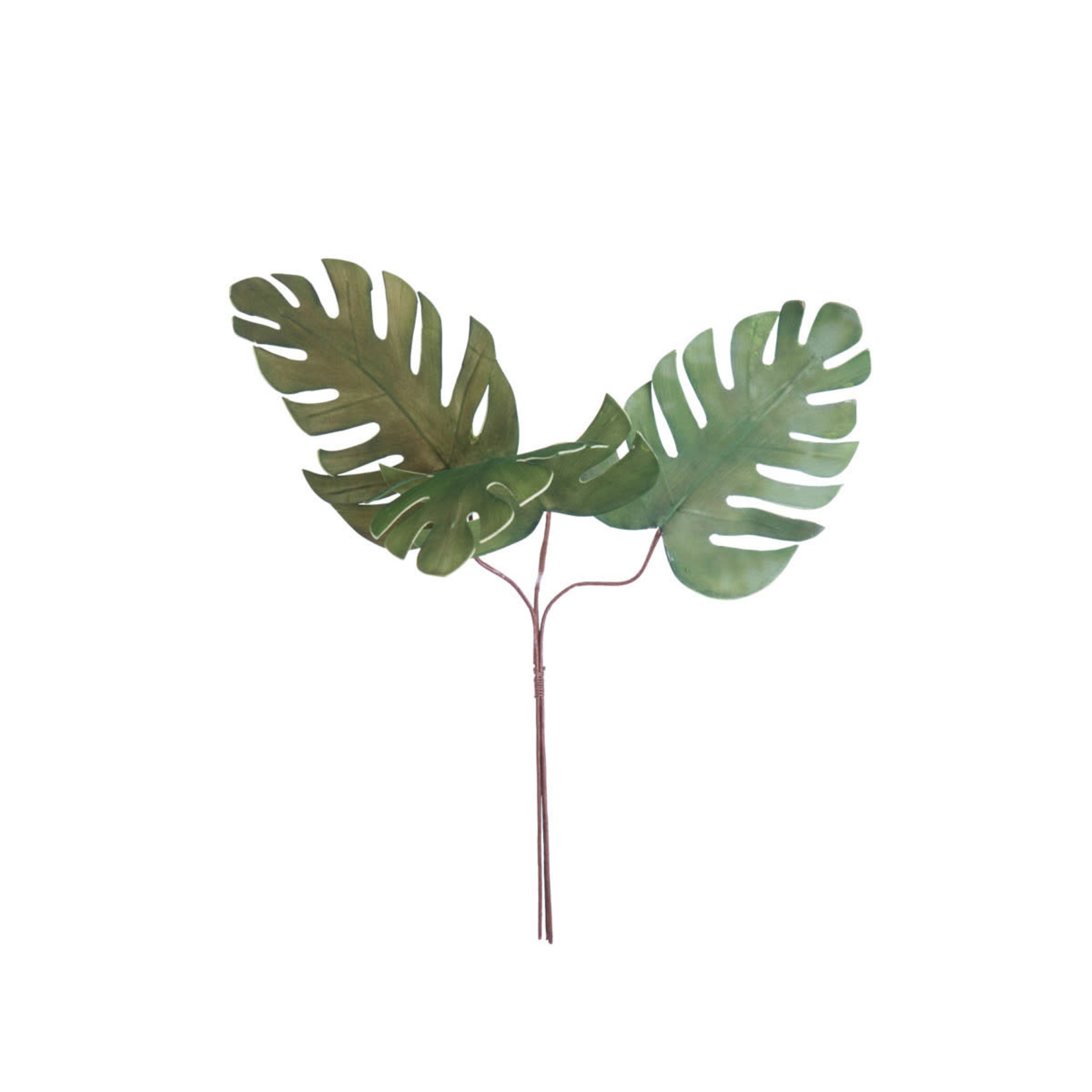 Mickler & Co. Monstera Leaf Insert