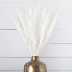 Mickler & Co. White Pampas Insert (FI-28)