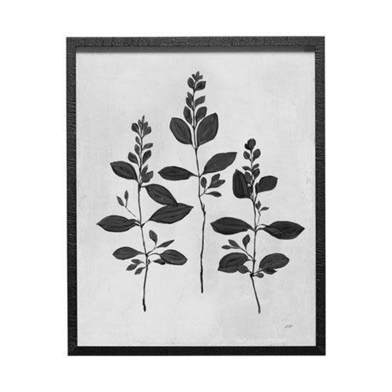 Mickler & Co. Botanic B&W Artwork-Set of 2