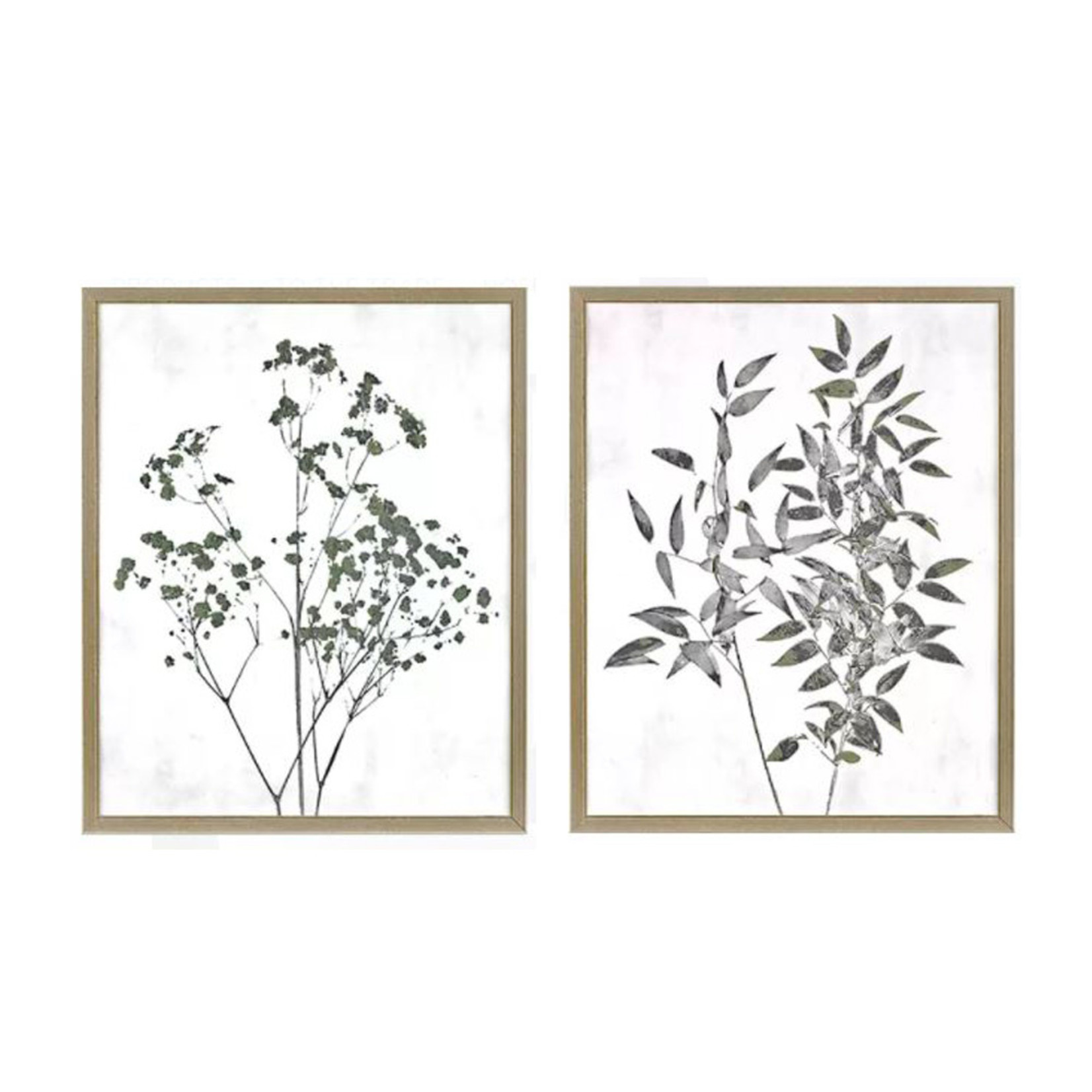 Mickler & Co. Botanical Gold Trim Artwork-Set of 2