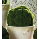 Moss Decor Ball