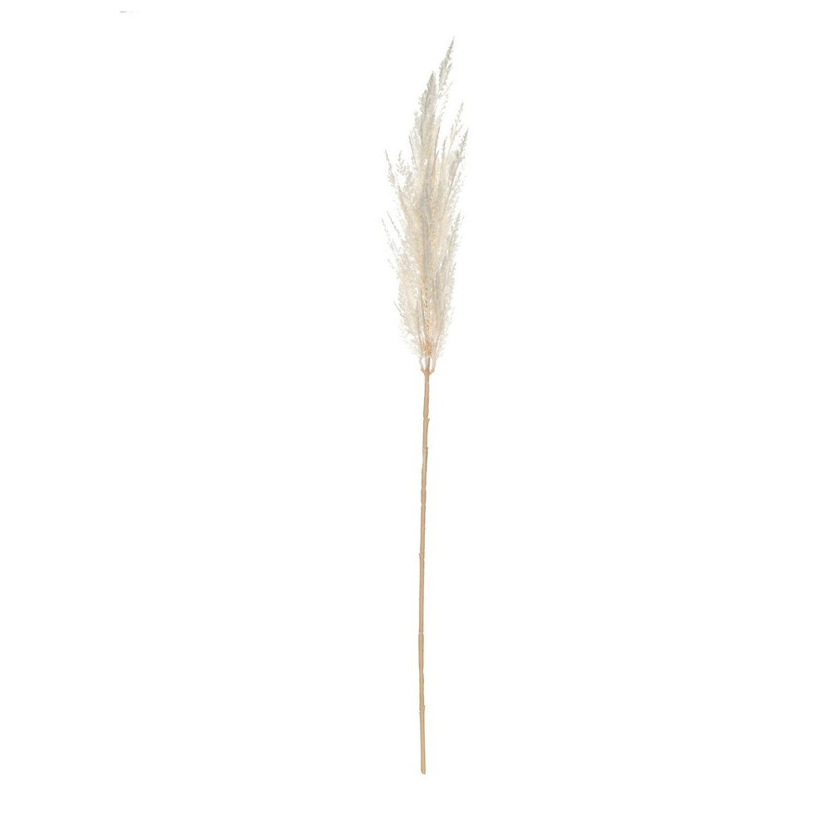 Mickler & Co. White Pampas Insert (FI-28)